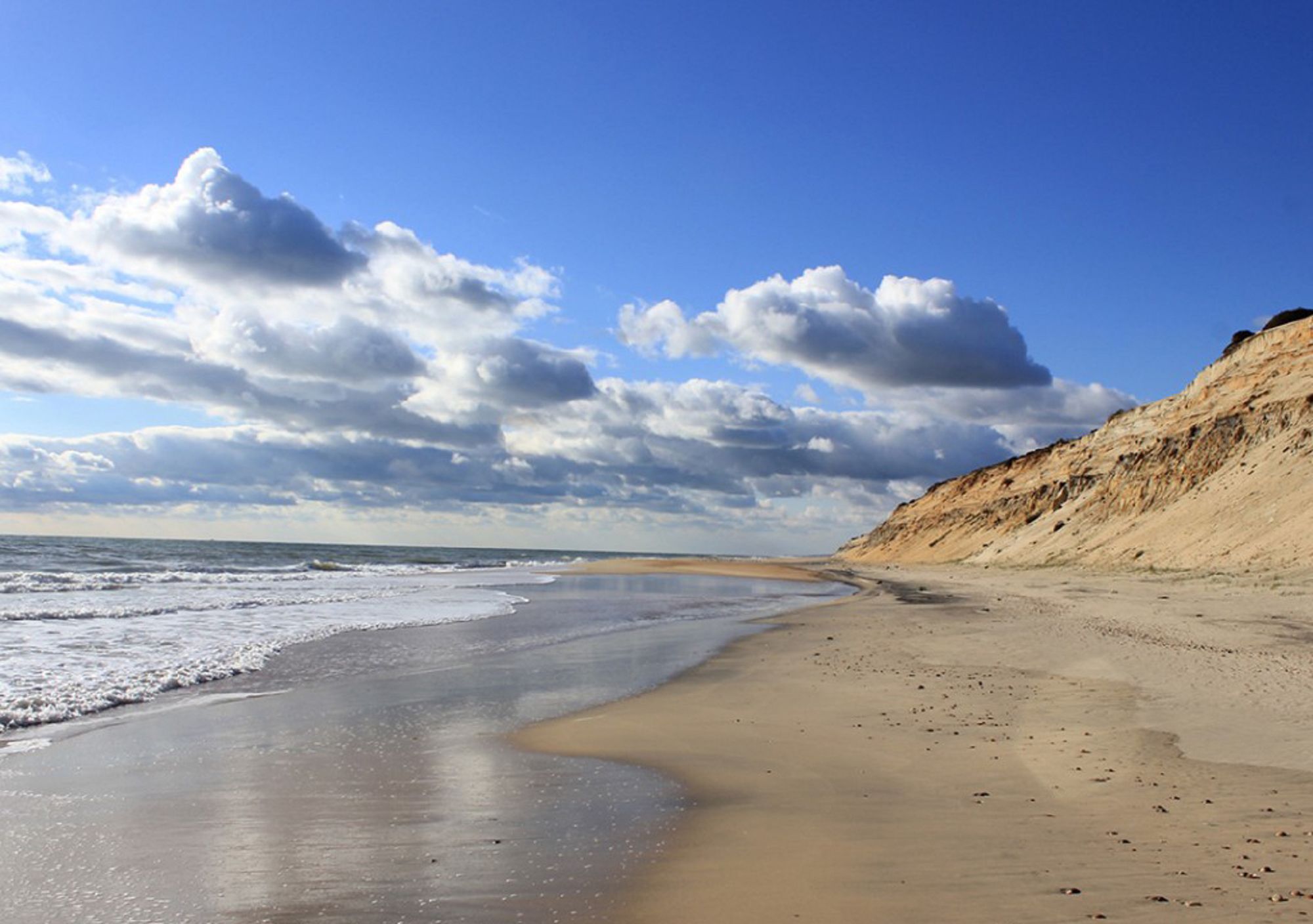 reservar online visitas guiadas al Parque Nacional de Doñana desde Sevilla